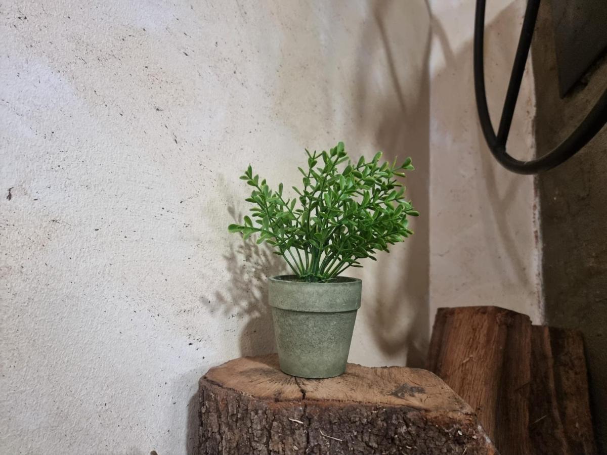 Hostal Casa Fran La Pueblanueva エクステリア 写真